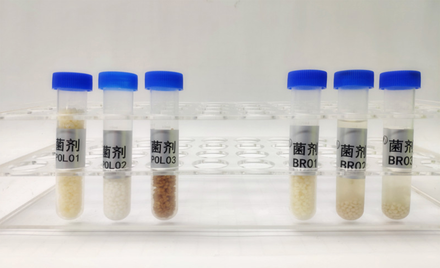原油生物降解菌劑